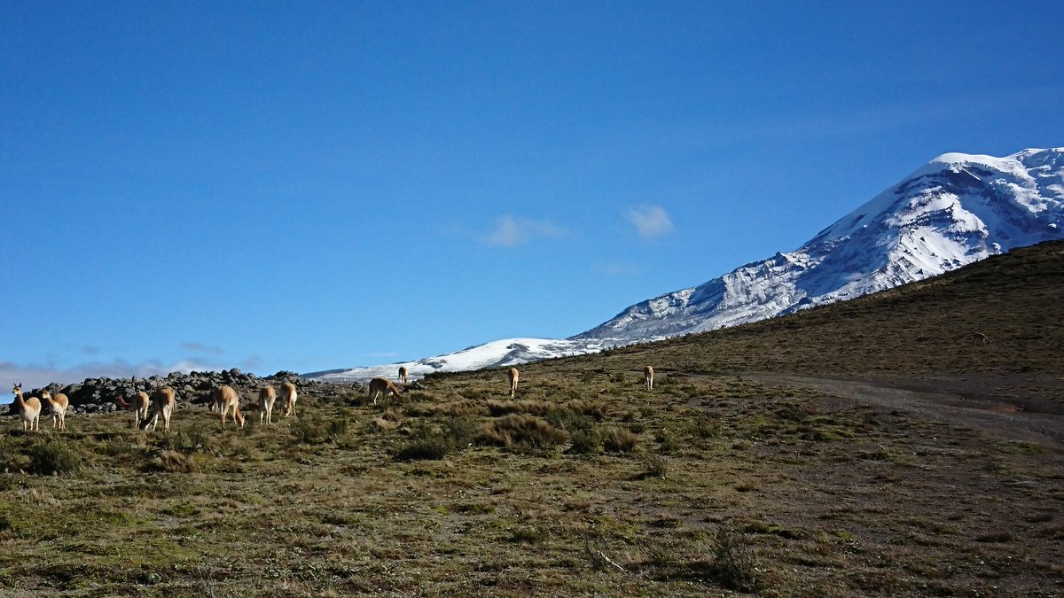 Drone_gis's tweet image. Flight plan near #Chimborazo  Mountain (farthest point from earth center) . 4500 m. a. s. l.  with @Event38 E384 drone