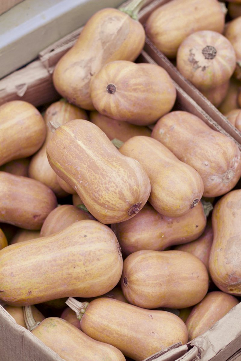 Wildkale tweet media