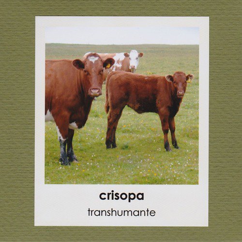 Crisopa – I Am The Lord Of These Ruins  <a href="/Crisopa_Music/">Crisopa</a>  <a href="/soundinsilence_/">sound in silence</a> bit.ly/19yW8yP