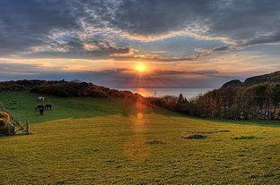 Are you visiting #Aberystwyth, come and stay, eat and drink with us at the Park Lodge Hotel... #VisitWales buff.ly/2xZb71b