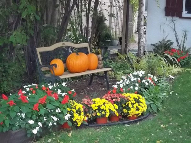 Trick-or-Treaters Collecting Non-Perishable Food on Halloween dlvr.it/Py9Zjq https://t.co/pr8wZuP279