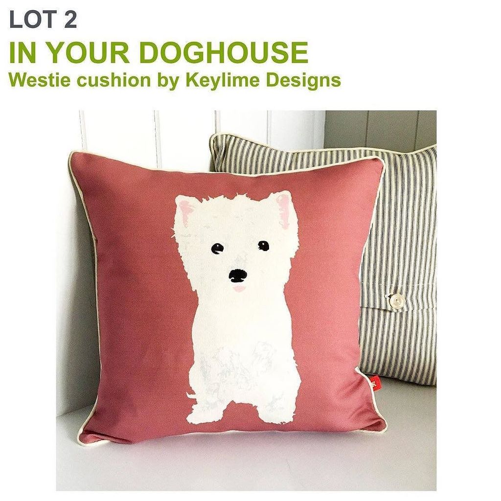 BathCDH's tweet photo. Thank you to @inyourdoghousegifts for the donation of this gorgeous cushion to our Online Auction over on Facebook… https://t.co/cugqD3tkxF https://t.co/vmtO4MHFVj