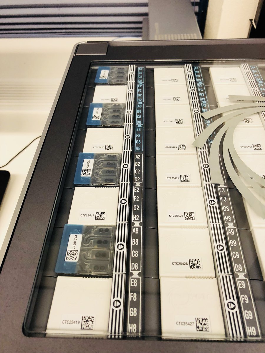 AW_NGS's tweet photo. Last day of voting for @nanopore #onemoreflowcell https://t.co/iFBG5v8I0X https://t.co/cw0AKnDNvU