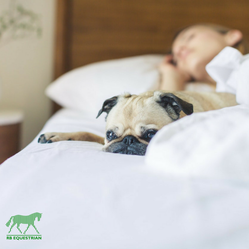 #DuvetDay #SundayChilling It’s time to relax!