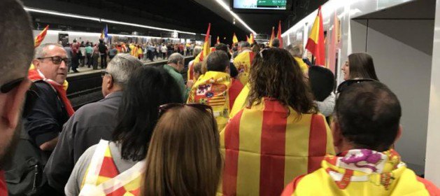 Ver imagen en Twitter