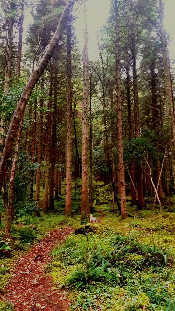 Guess where Annie is... 