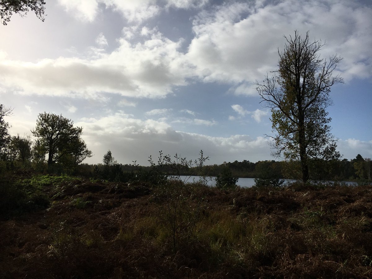 #wintertijd ? Lekker een uurtje langer fietsen op de Kampina (Oisterwijk)