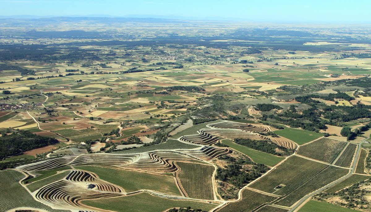 Bod. Señorío de Nava tweet media