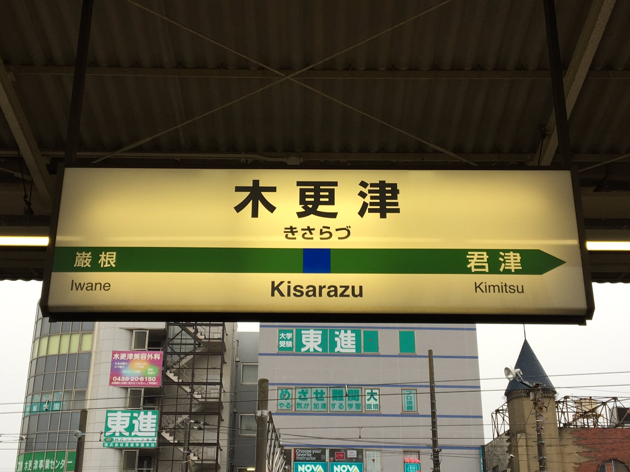 お礼や感謝伝えるプチギフト 苔 on X:  コレクション