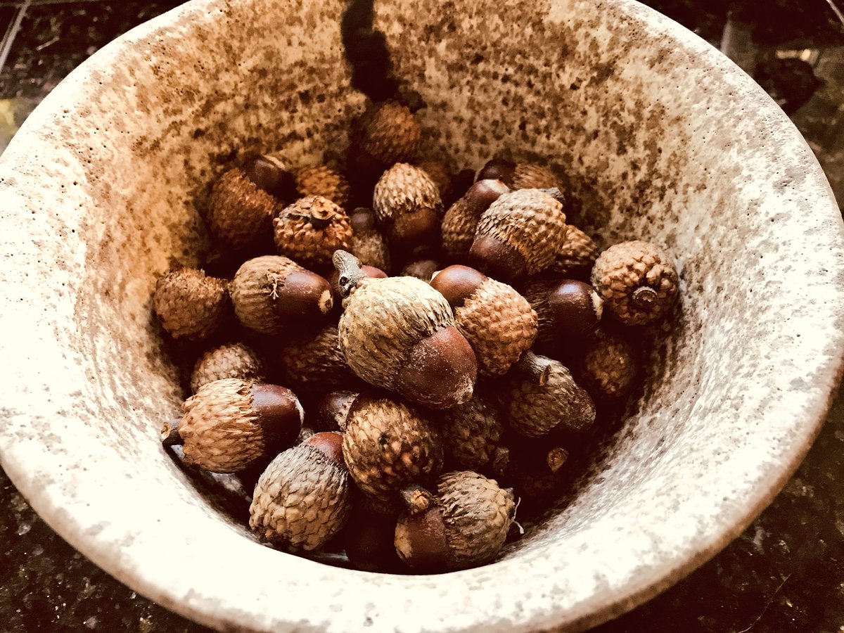 Sandy Taylor Carlson (@taylorvineyards) on Twitter photo 