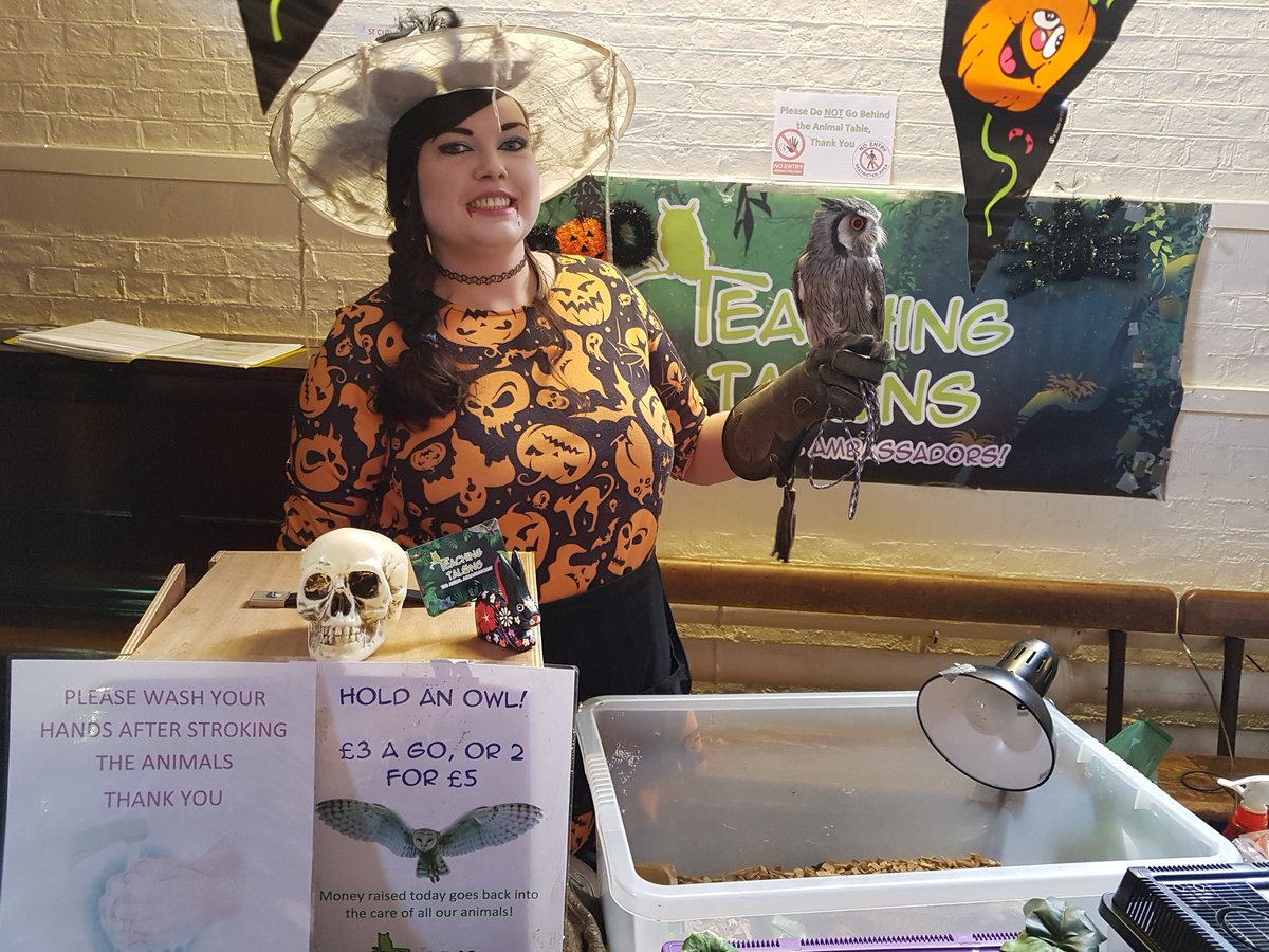 It's the BIG Halloween Event at St Cuthberts Hall today - come and meet the bats and owls - Free Entry #Bedford