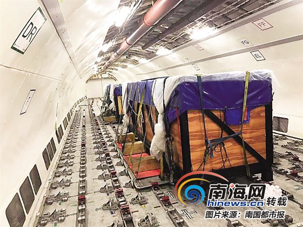 MC_org's tweet photo. 2 beluga whales arrive at Sanya airport, China for display in hotel aquarium. https://t.co/By190DHwDG
