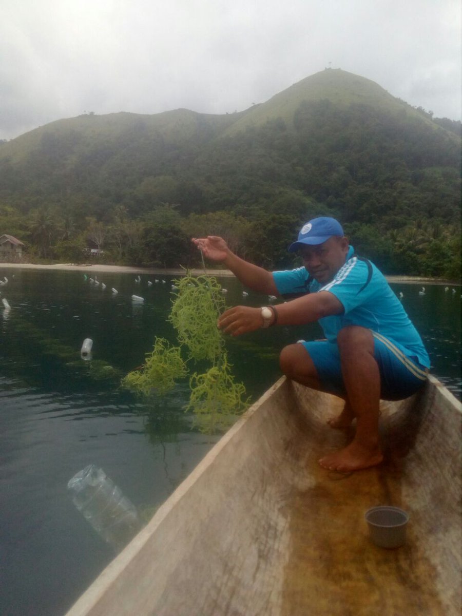 APPBI_SULTENG tweet media