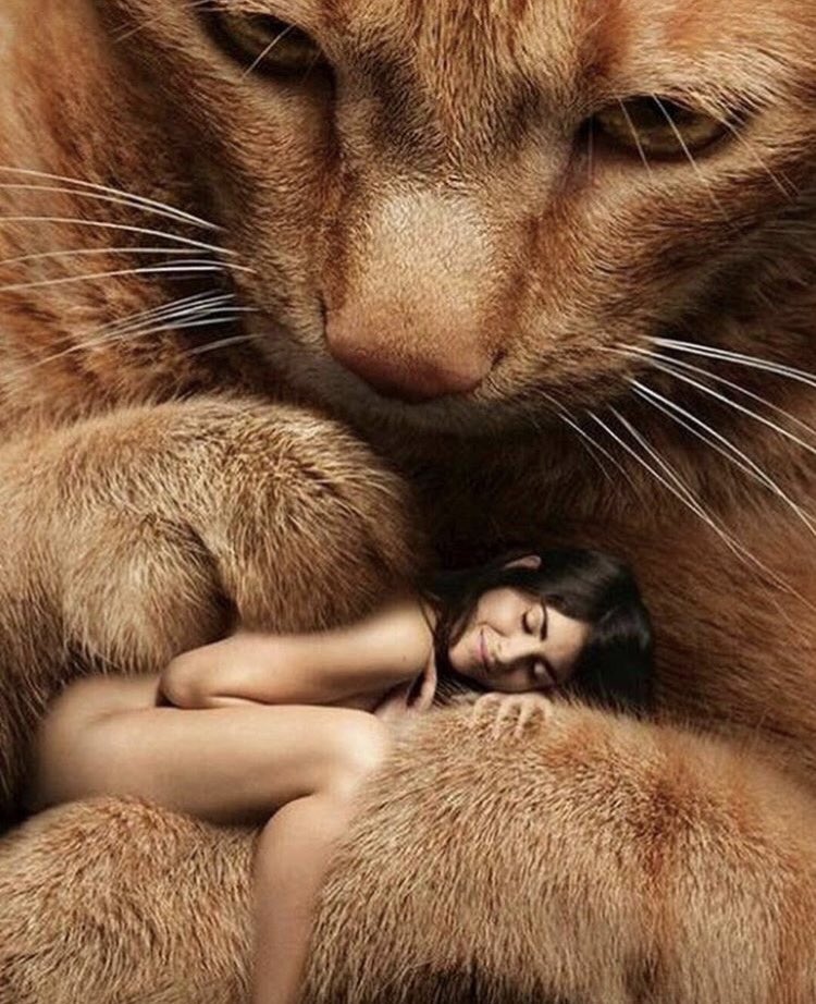 WFDVM's tweet image. ..