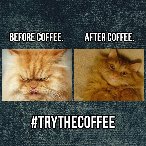 MyKinesisMoney's tweet photo. YOU HAVE GOT TO TRY THIS COFFEE! β
#TrytheCoffee #FreeCoffeeSamples #FreeShipping #USA πΊπΈ
π https://t.co/VuBLHwQVT2 https://t.co/8hqpVTpNdn