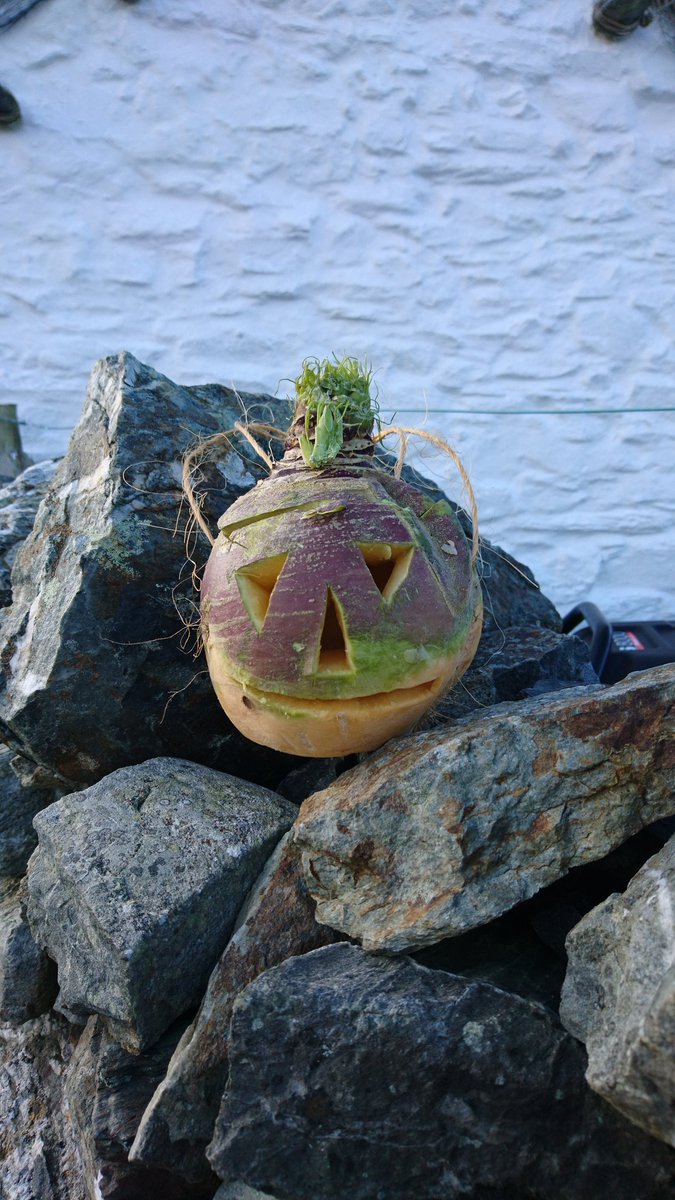 Faylar1978's tweet photo. Turn Up for Turnips #Cregneash #HopTuNaa #Moot #IsleofMan https://t.co/xMrCf7SaaG