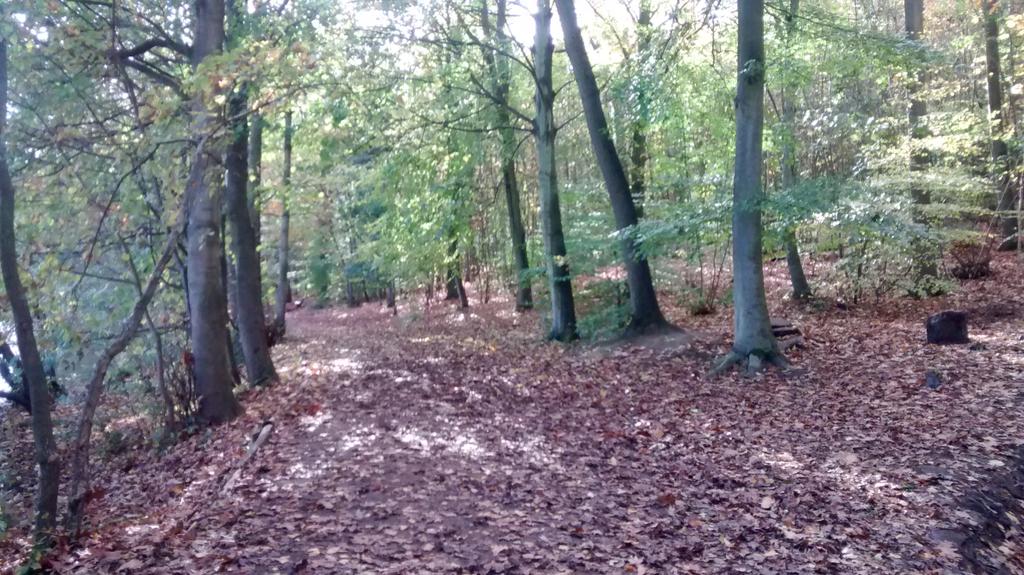 SallyWestle's tweet photo. Autumn is here! https://t.co/EDcsO7He3J