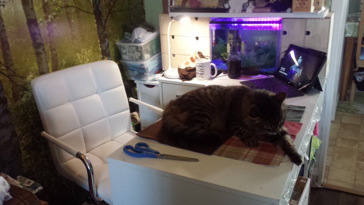 LQSensorySewing's tweet image. OK,  you're really not helping Muggles! Step away for one minute... #catproblem #sewingonasunday #cushions