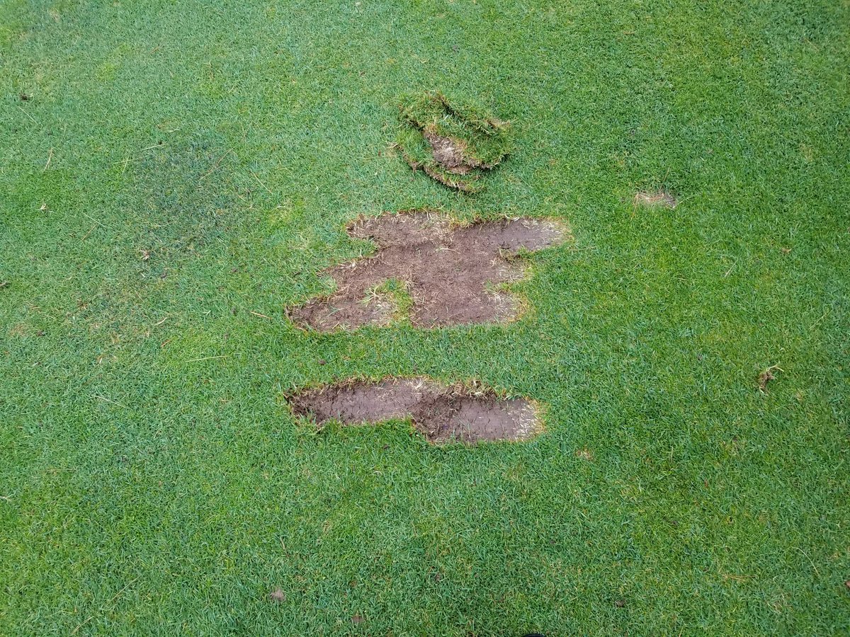 Love the new range tee on 9 fairway.