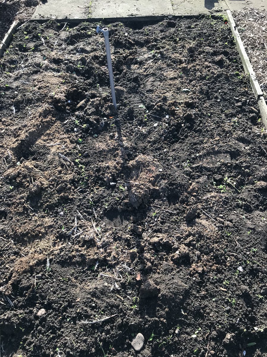 allotmenteers44's tweet photo. Ground maintenance on hold... plots in need of attention #Weedingsession #workout #teamwork @shell_in_notts @MarieMcglinchey #Plot1 https://t.co/m8X1E6OJFX
