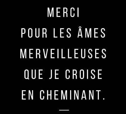 kayanecheyenne's tweet image. Elles existent.
Je les préserve.