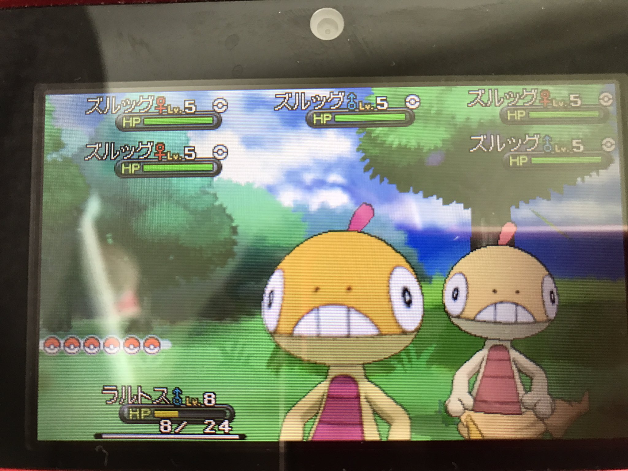 ぺんぺん Op Twitter 9日xy群れバトルにてズルッグ11回 12日as群れバトルにてナゾノクサ258回 ラティオス240回 フレンドサファリにてバケッチャ157回でした ラティオスはシンクロ外しちゃったけど 初伝説リセマラ成功したのが嬉しくて捕獲 色違いポケモン 色