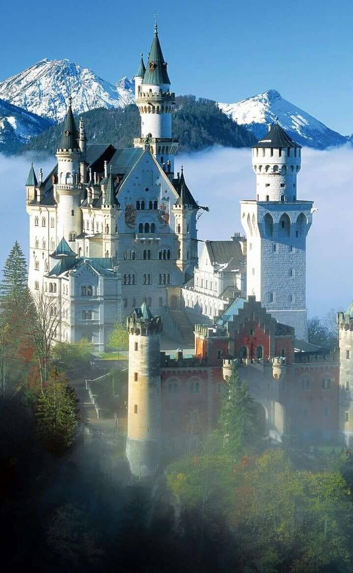 PicPublic's tweet image. 