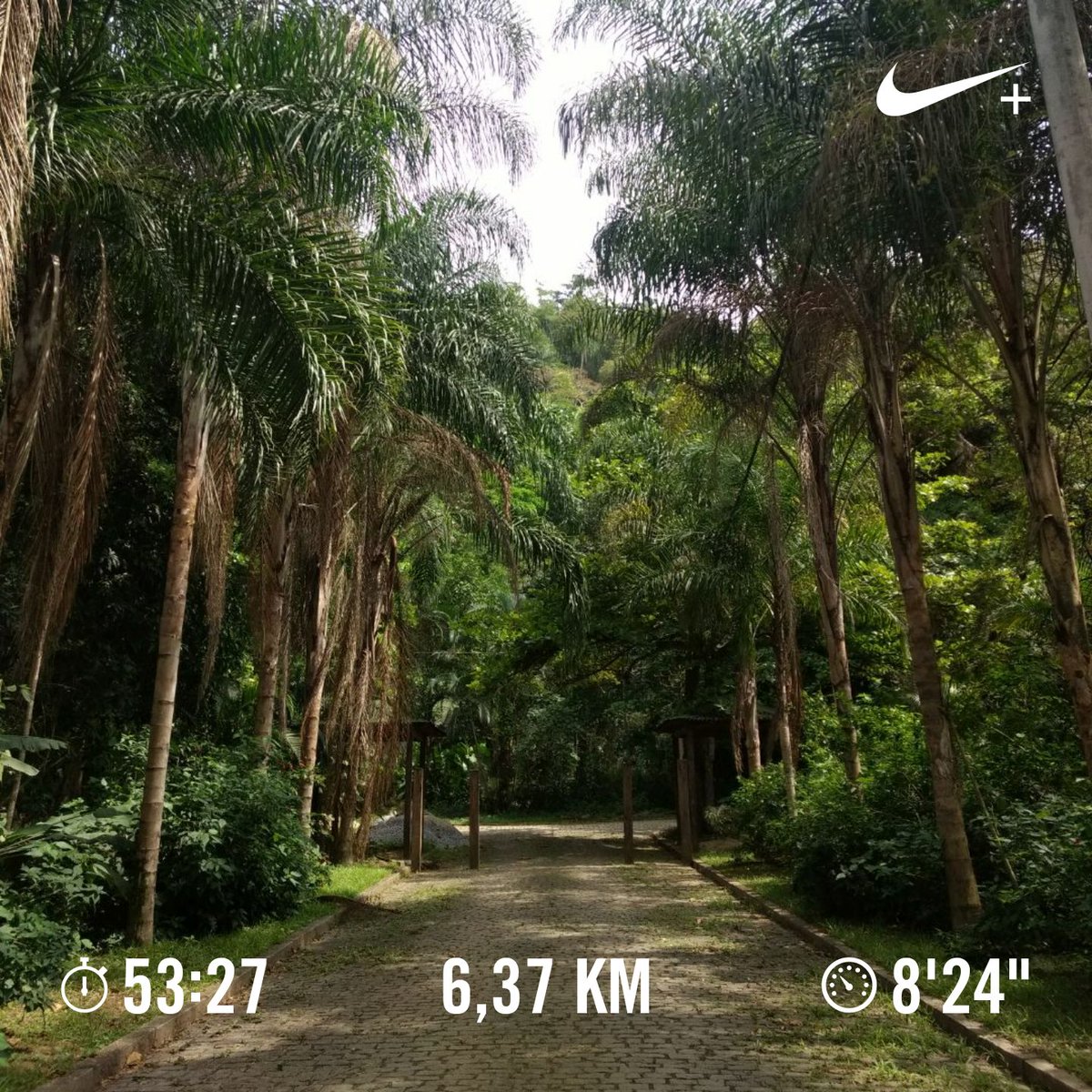 rafaodeoliveira's tweet photo. Correr pra beber e bebo pq corro? #nikerio #nikerunning #nike https://t.co/J82ptrM81j