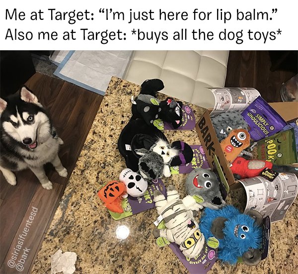 barkbox's tweet photo. Okay so now I have ashy lips but at least my dog is happy and that's all that matters. #barkxtarget https://t.co/4dfMsoaM39