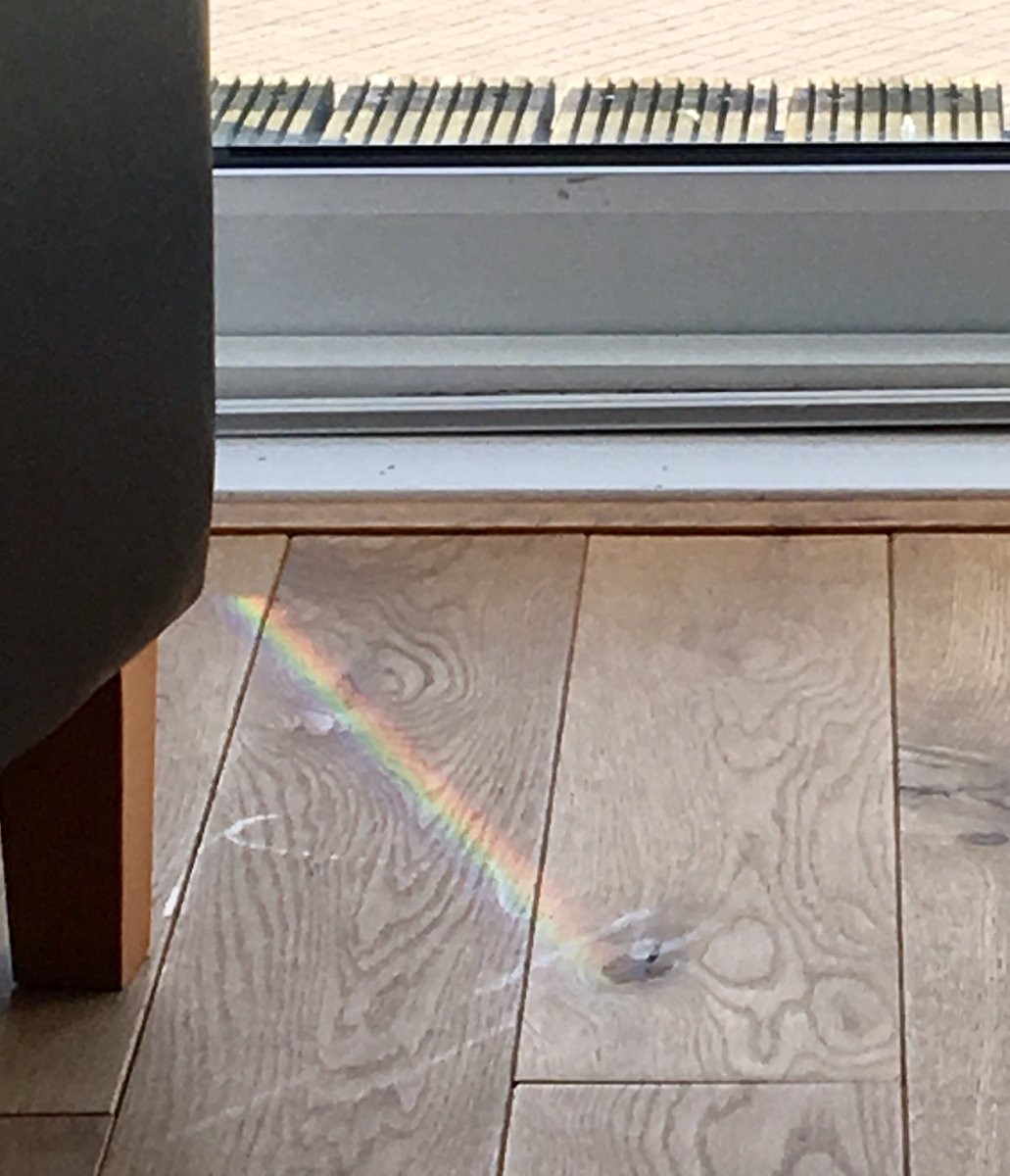 rebeccagyeo's tweet photo. I can now see both ends of the rainbow, but no pots of gold appearing ... just yet 🌈 #sundaywisdom #hope #lifeiswhatyoumakeit #rainbow #floorpatterns #hellomyprecious https://t.co/DclS3O9Dy4