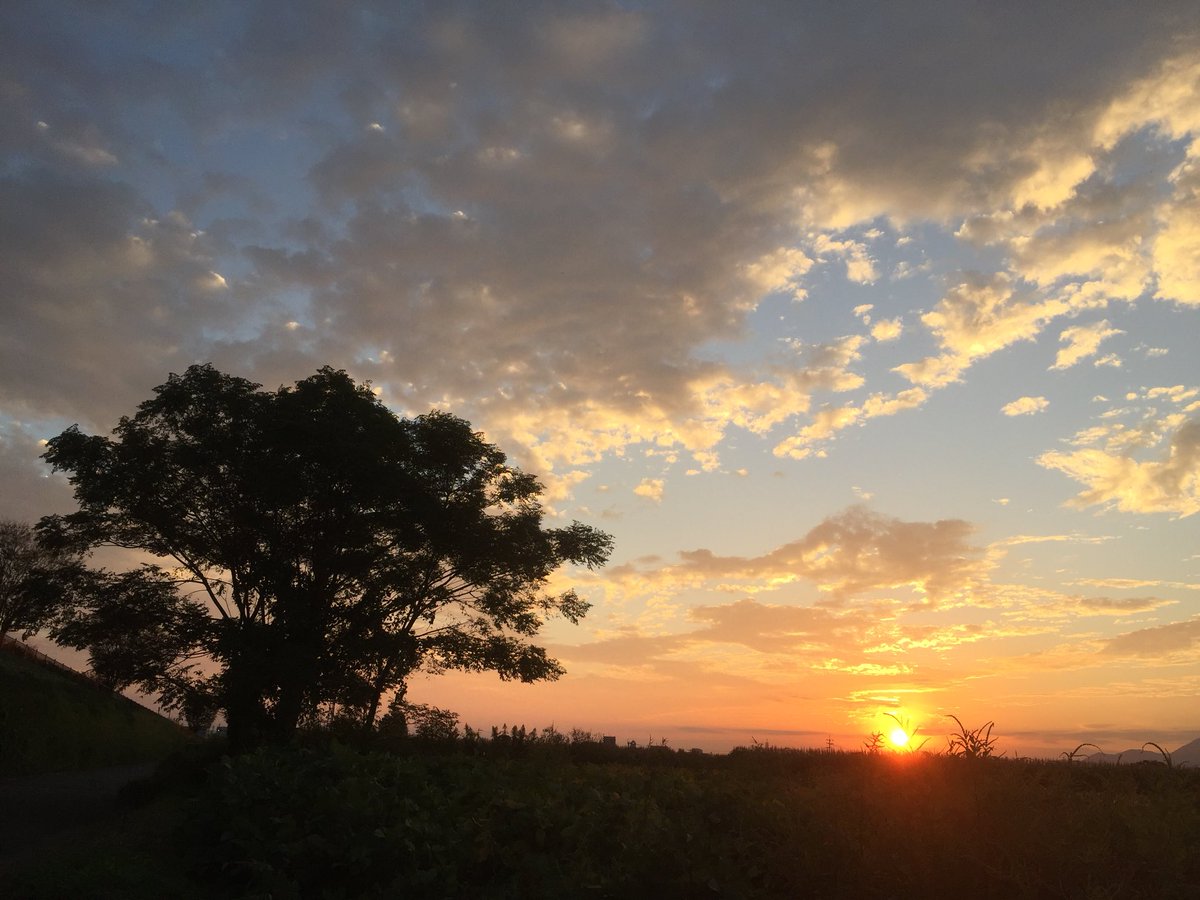 同じアングルを別の日に
明日からまた晴れるから
じゃんじゃん写真撮ろう！