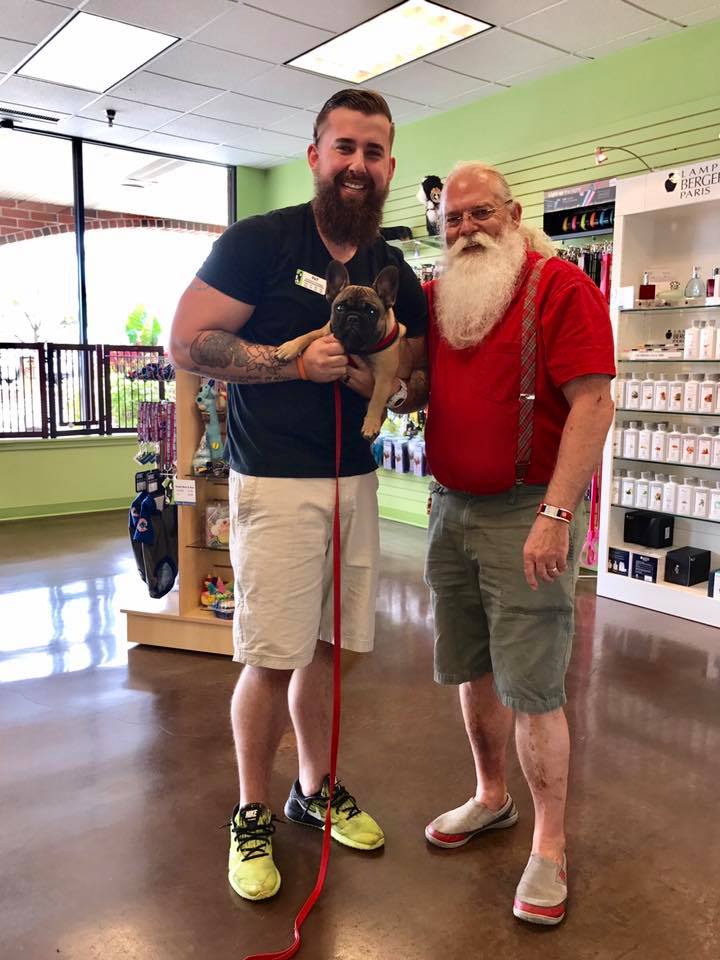 jacko726's tweet image. Santa stopping by at Two Bostons store to pick up treats for his Fenchie "Rudolph"