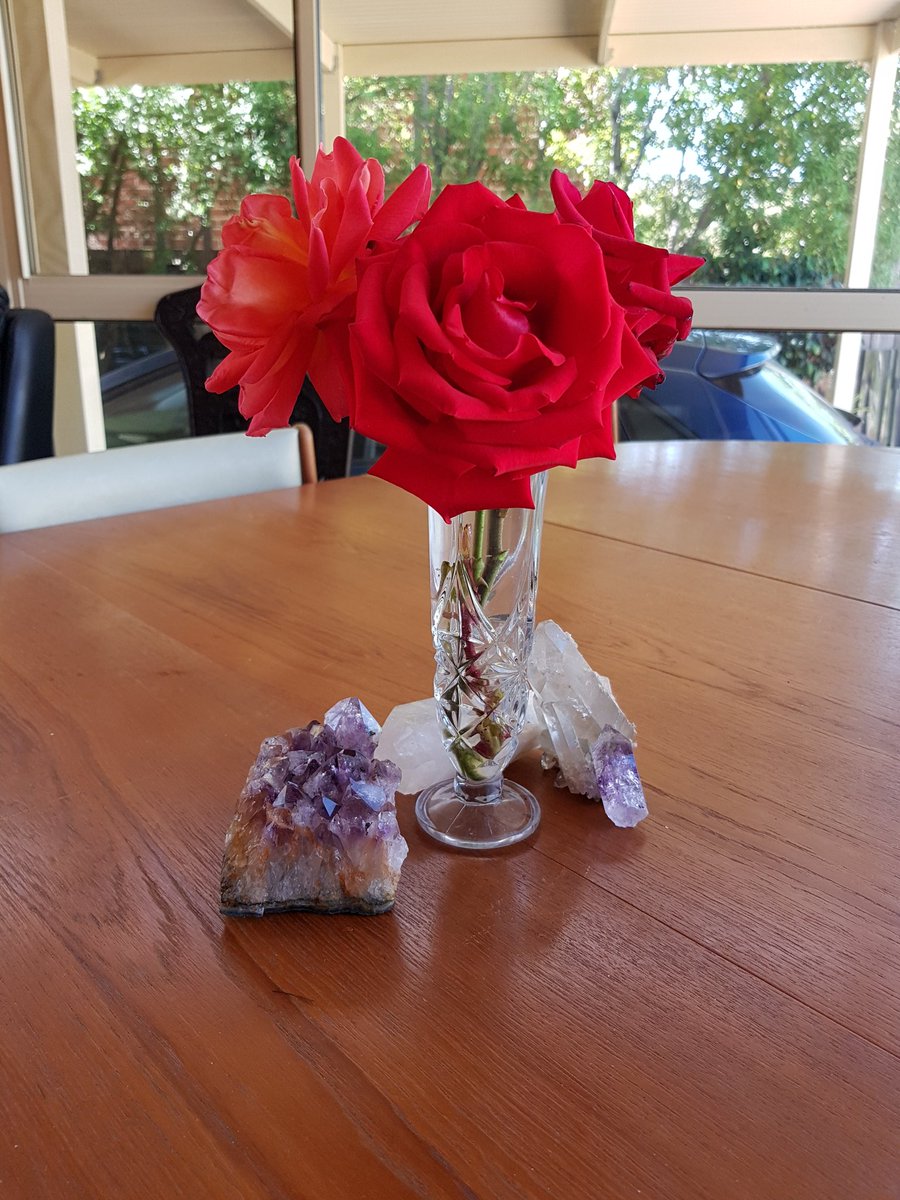 eltham_kirsten's tweet photo. I am a lucky girl, beautiful flowers. Been checking out #etherium and #TokenBloom today. #blockchaineum and #everyaustraliancounts https://t.co/AlGDXwPFbf