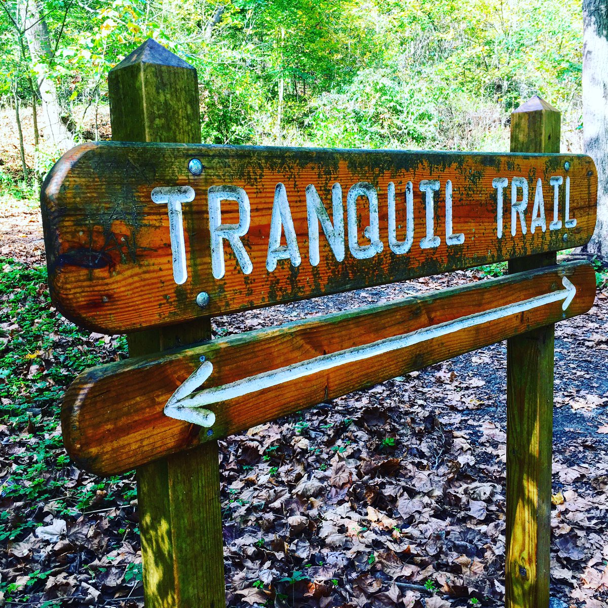 runpriyarun's tweet photo. Tranquil Trail, indeed. Right under Forbes Ave, next to a creek, surrounded by tall trees of every color. #runhappy #runchat #Pittsburgh https://t.co/d42hb1EuXL