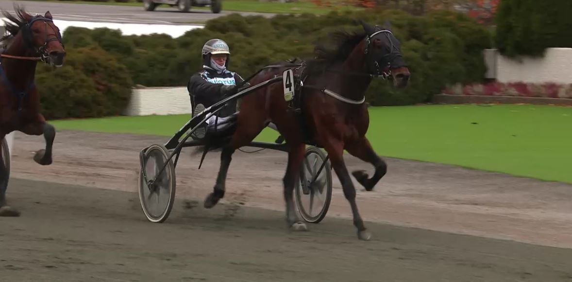 Joe_Zagari's tweet photo. #Diamanten  🇸🇪 #AdrianChip  won #BreedersCrown 🇸🇪 4 Year Old Colts and Geldings Division on @Solvalla with @StallBergh in 1.12.7 on 2140 https://t.co/0uwjcqV1C3