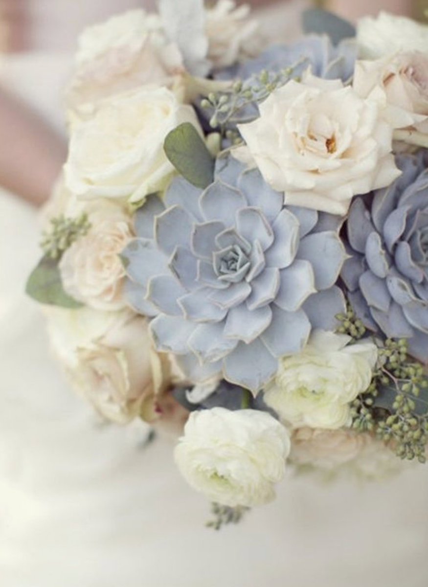 Brides of Yorkshire tweet media