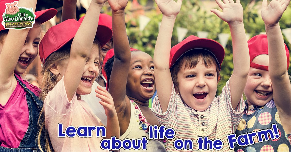 OMDfarm's tweet photo. Learn about farm life @OMDfarm! With hands-on learning, teacher packs and more - Book your school trip now >> https://t.co/cU165PtEDb #Essex https://t.co/B7ys0tnfeP