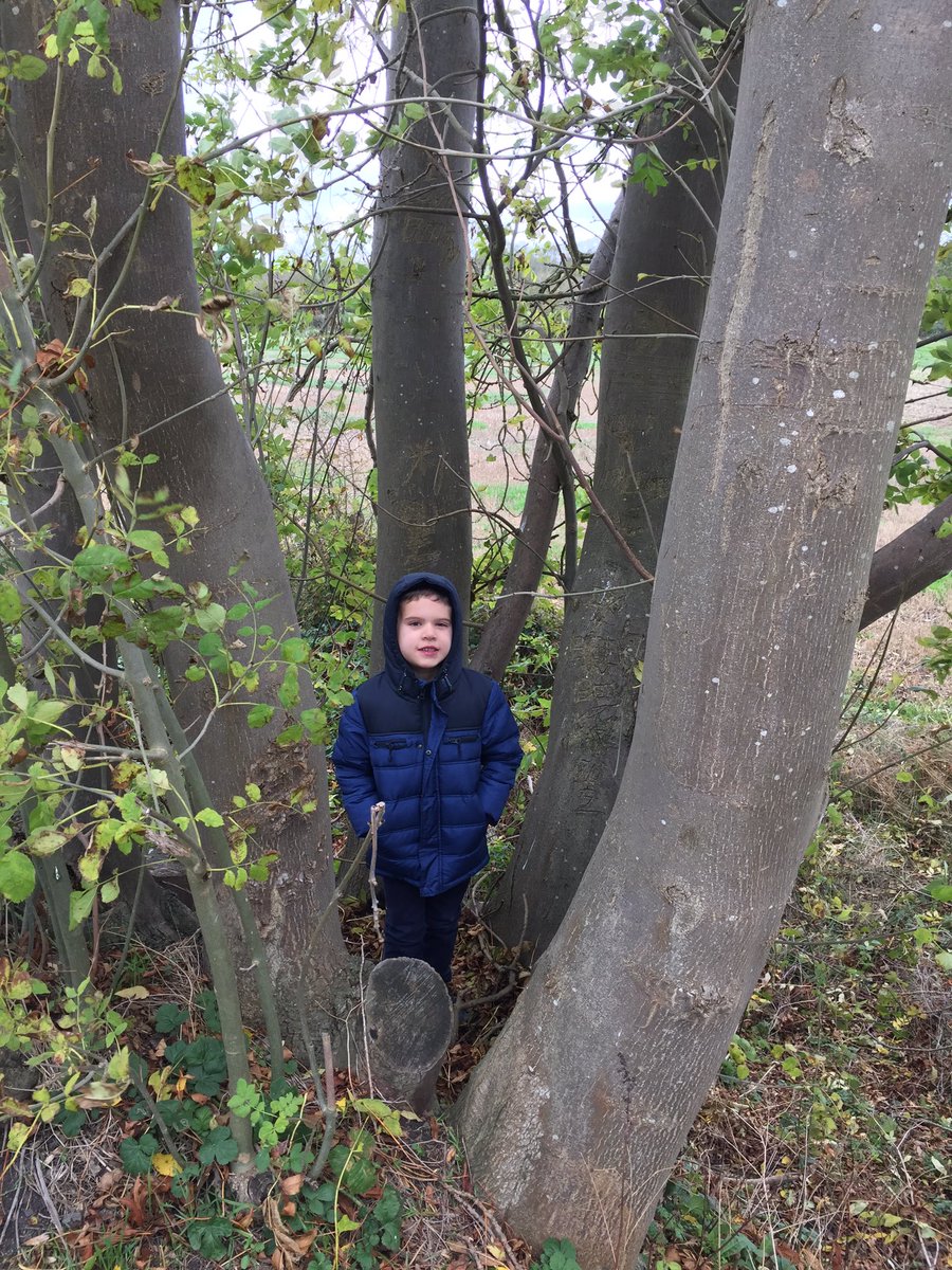 KatarinaDeme's tweet photo. @TheAntsClass #willowsautumnselfie Daniel https://t.co/dKQsS5Oa3c