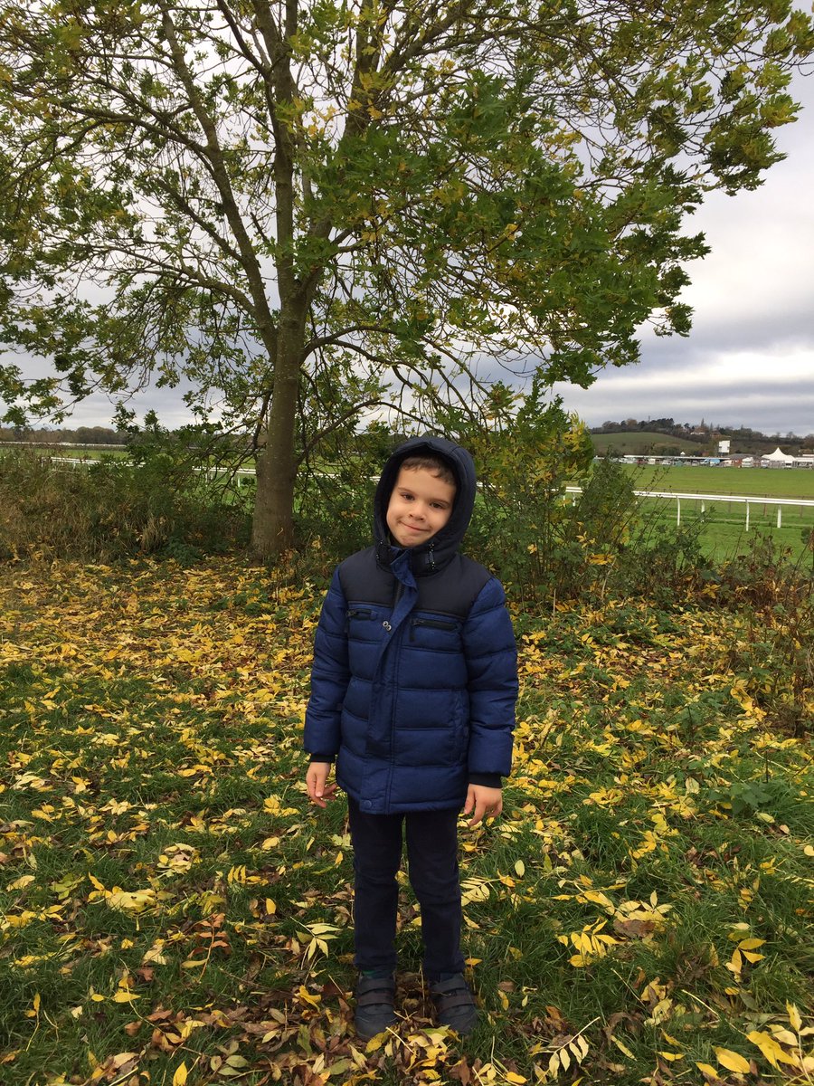 KatarinaDeme's tweet photo. @TheAntsClass #willowsautumnselfie Daniel https://t.co/dKQsS5Oa3c