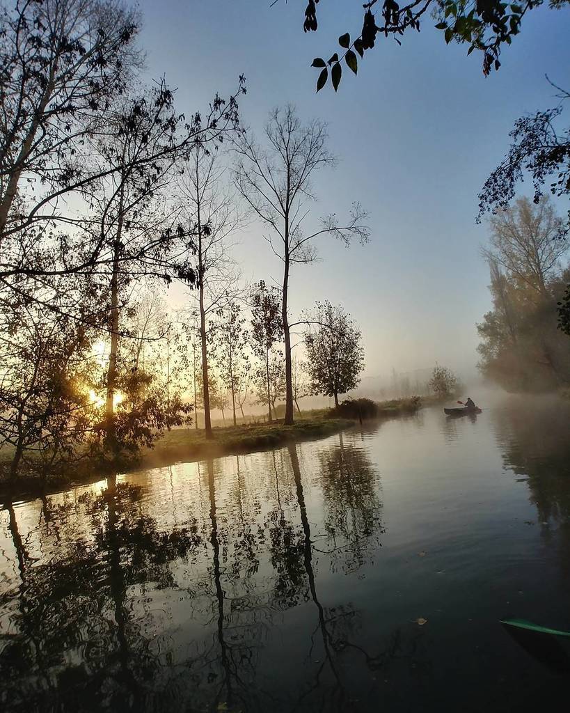 hervebois's tweet photo. Marais poitevin au tout petit matin lors de l'#instamarais2917 organisé par @igersniort
#igersfrance #hello_franc… https://t.co/qKOorOlC4O https://t.co/R0fqEVu6yy