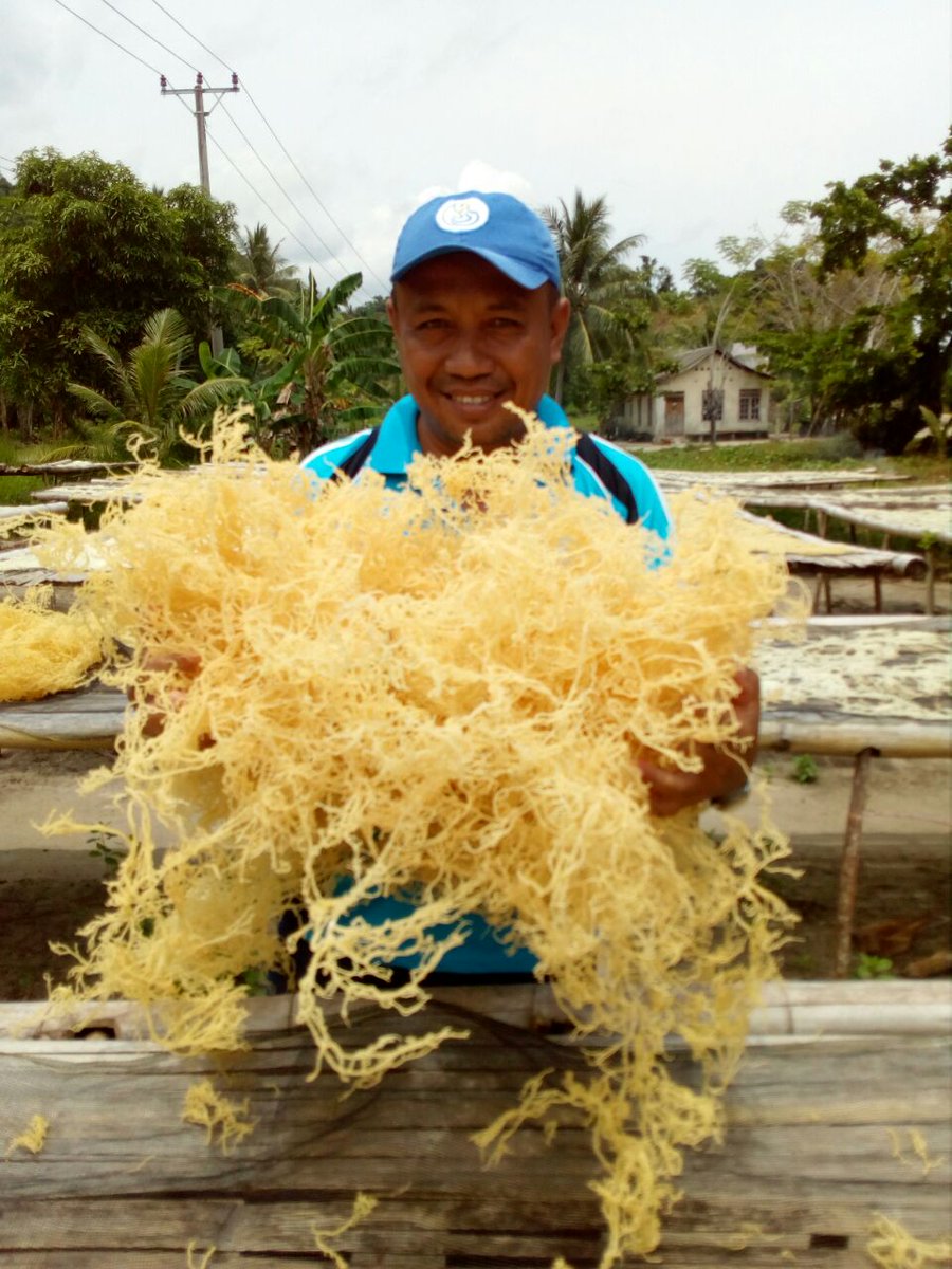 APPBI_SULTENG tweet media