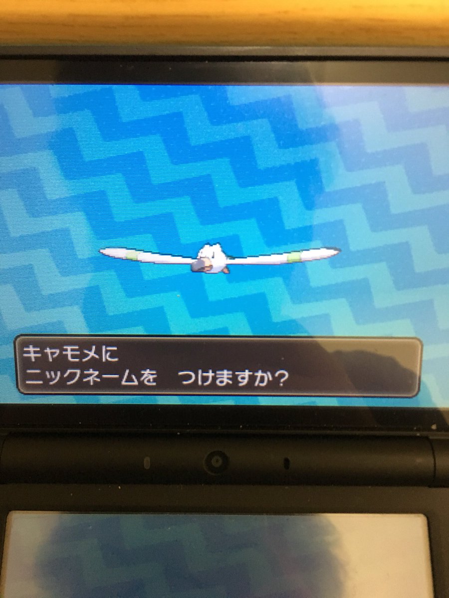 Bugl_pokemon's tweet photo. 111個目でめざ炎キャモメ爆誕！
#国際孵化 https://t.co/qToCYAialb