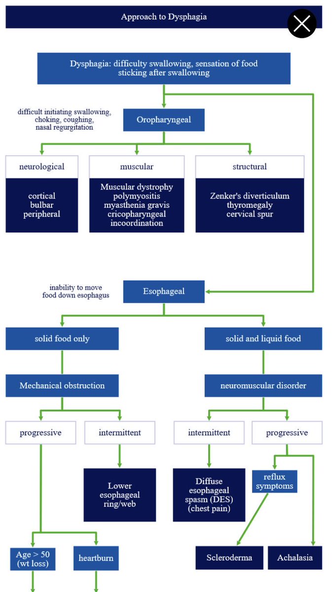 download schaums outline of