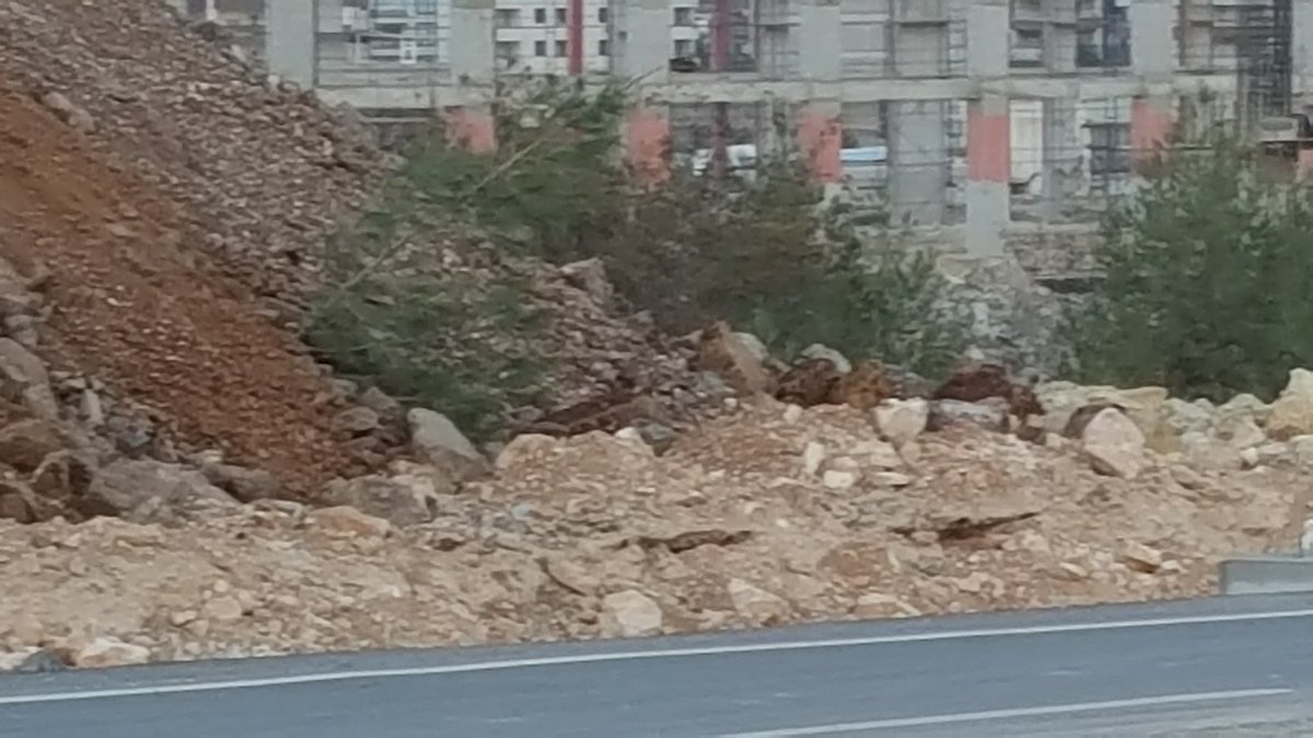 <a href="/YusufSabriDisli/">Yusuf Sabri Dişli</a> <a href="/nihatcftc/">Nihat ÇİFTÇİ</a> <a href="/MustafaArst/">Bağımsız Gazeteci</a> <a href="/meyesiltas/">m.emin yeşiltaş</a> <a href="/aefakibaba/">Dr. Ahmet Eşref FAKIBABA</a> <a href="/mehmetozhaseki/">Mehmet Özhaseki</a> <a href="/cnnturk/">CNN TÜRK</a> SÖKÜLMEYE BILE GEREK DUYULMADAN GÖMÜLECEK AGAÇLAR