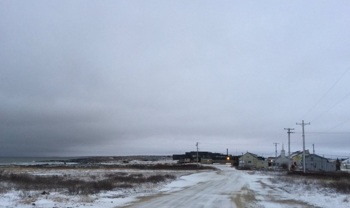 Thank you <a href="/PolarBears/">Polar Bears International</a> for an exquisite #scicomm experience that we hope to share <a href="/Beakerhead/">Beakerhead</a> #saveourseaice