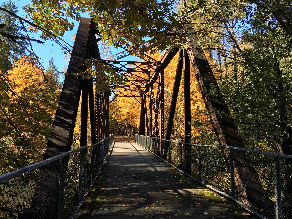 BSanner60's tweet photo. Fall colors and near 70 degrees in the PNW.  I can feel The Great Pumpkin is out there.  #fallinPNW https://t.co/bzRfr6aMPE