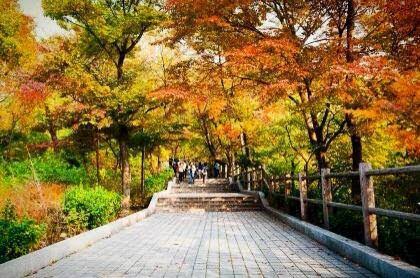 KStoryManila's tweet photo. Unwind @ Namsan Park, a symbolic mountain located at the center of Seoul &amp; enjoy its leisure facilities 👉https://t.co/Gc8woJbggJ #VisitKorea https://t.co/sMTk4y3tG7