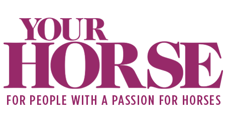 IVHorse's tweet photo. What a great idea! Who is signed up already! 

https://t.co/4EY5AqRmjh 

#yourhorse #hack1000miles #ivhorse #gearup @YourHorse https://t.co/s3ufK0pfsL