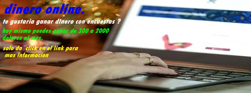 negocios on line tweet media