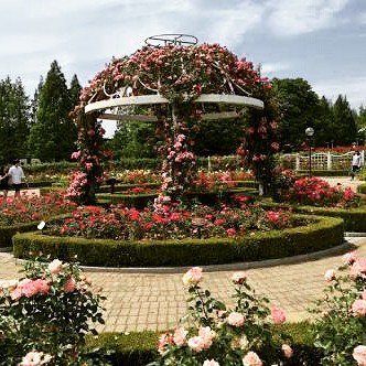 KStoryManila's tweet photo. Enjoy weekends @Ilsan Lake Park,one of Asia's largest man-made parks w/c offers many leisure attractions https://t.co/CLwsrALykg #VisitKorea https://t.co/IJ9fEkltsg